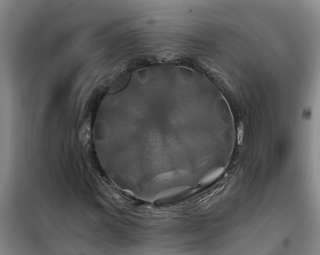 X0000101091011200807031721