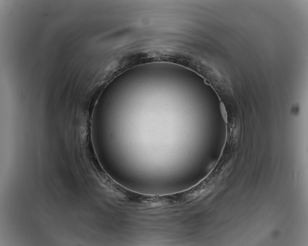 X0000101091012200807031721