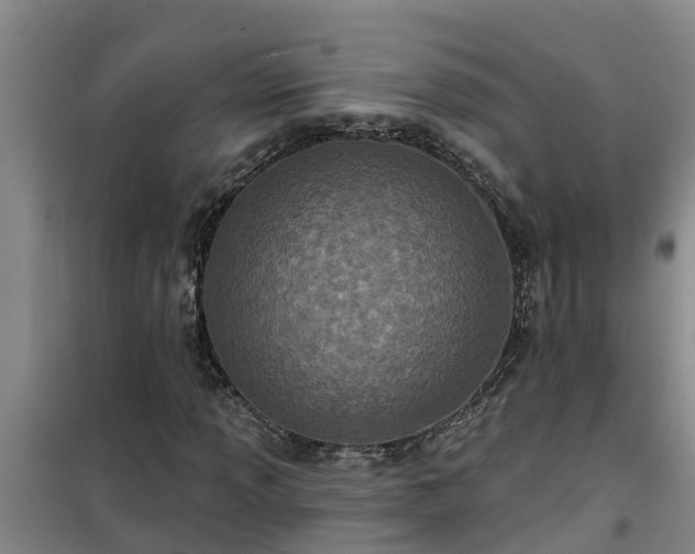 X0000101091013200807031721