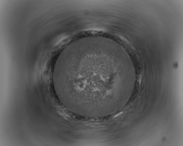 X0000101091014200807031721