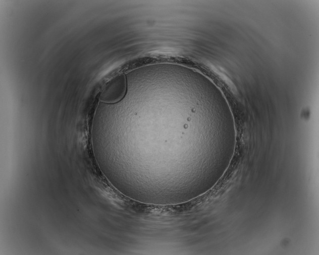 X0000101091015200807031721