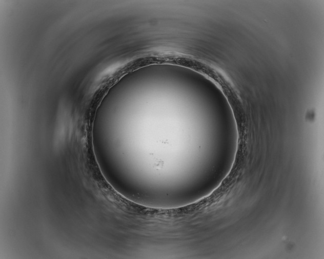 X0000101091016200807031721