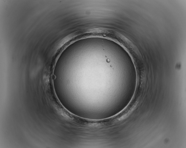 X0000101091017200807031721