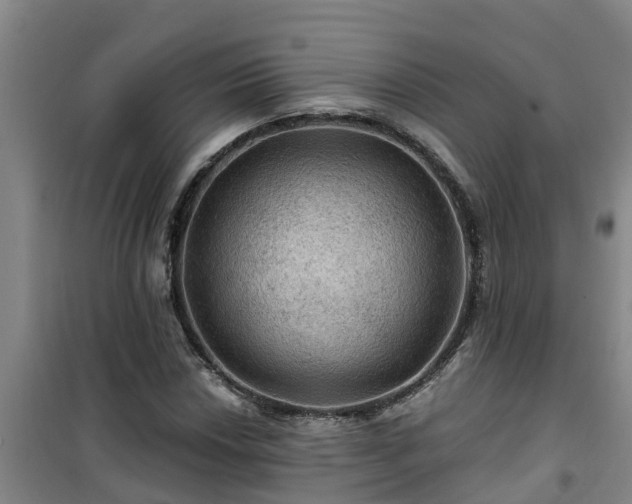 X0000101091018200807031721