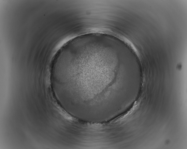 X0000101091019200807031721