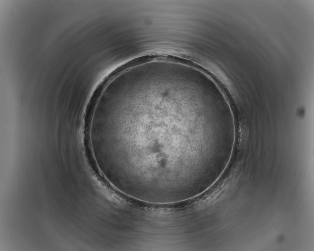 X0000101091020200807031721