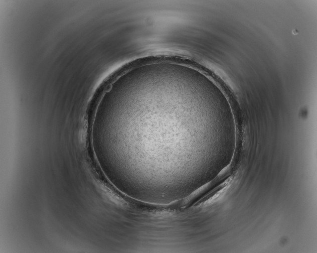 X0000101091021200807031721