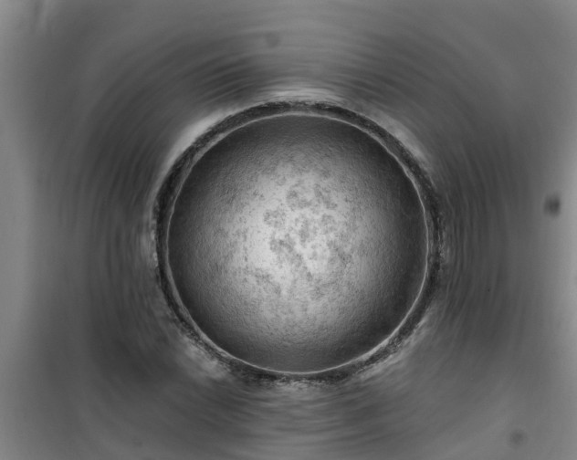 X0000101091022200807031721