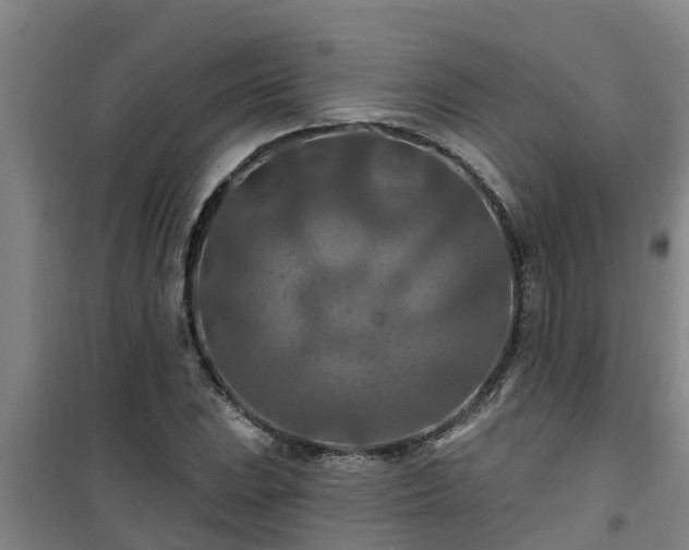 X0000101091023200807031721