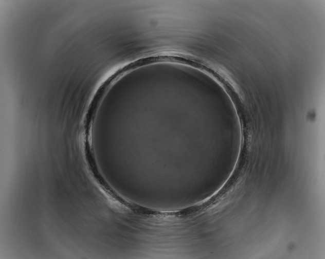 X0000101091024200807031721