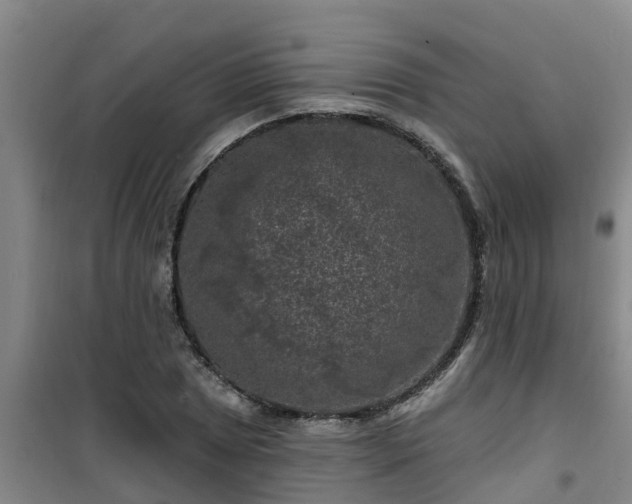 X0000101091025200807031721