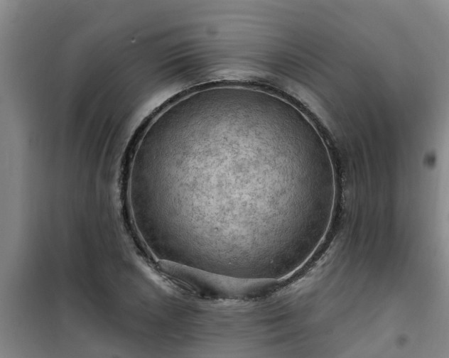 X0000101091026200807031721