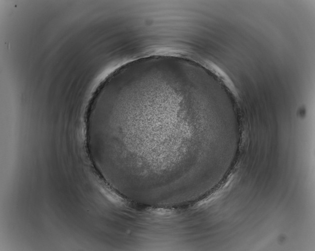 X0000101091027200807031721