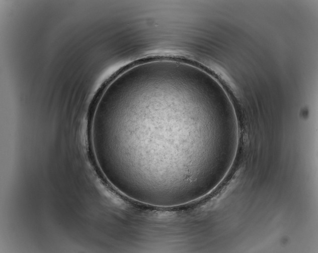 X0000101091030200807031721