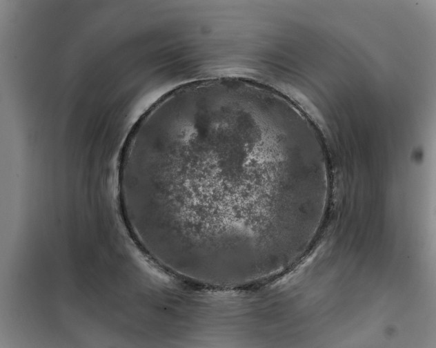 X0000101091031200807031721