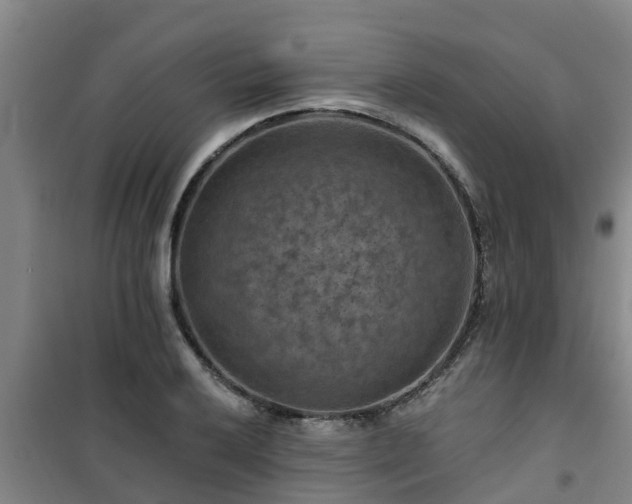 X0000101091032200807031721