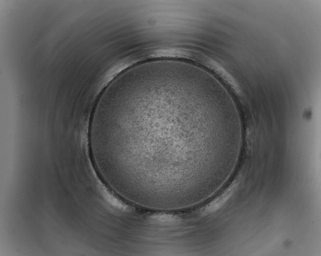 X0000101091033200807031721