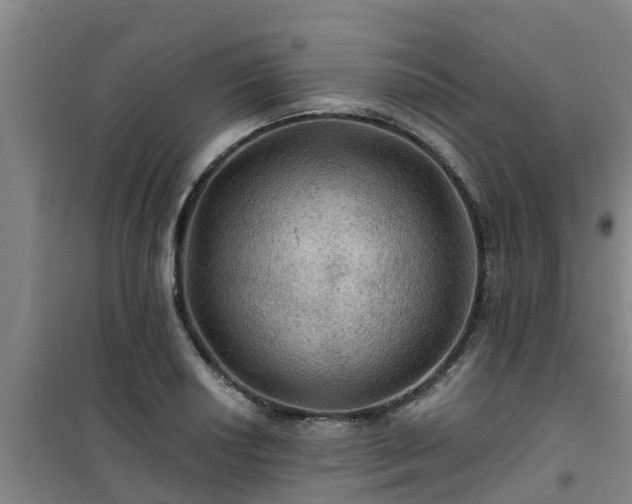 X0000101091034200807031721