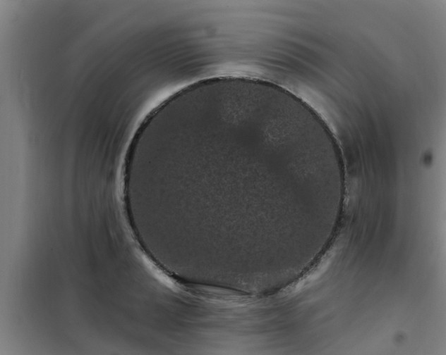 X0000101091037200807031721