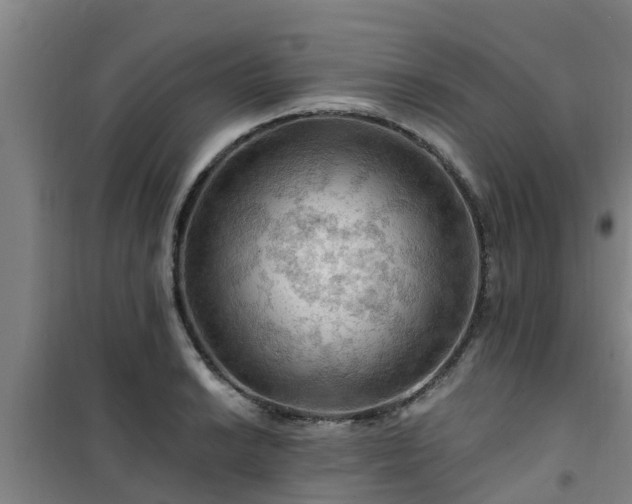 X0000101091038200807031721