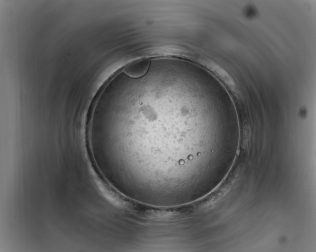 X0000101091039200807031721