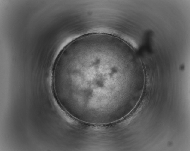 X0000101091040200807031721