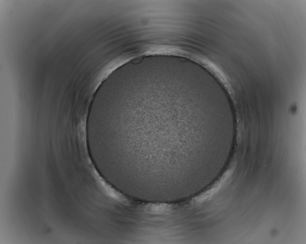 X0000101091041200807031721