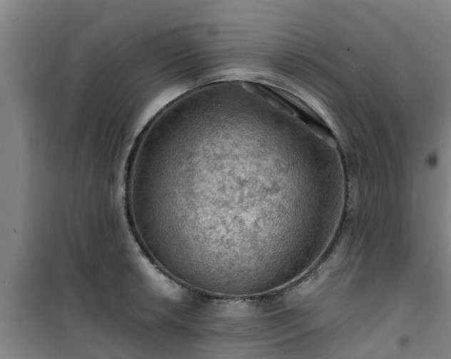 X0000101091042200807031721