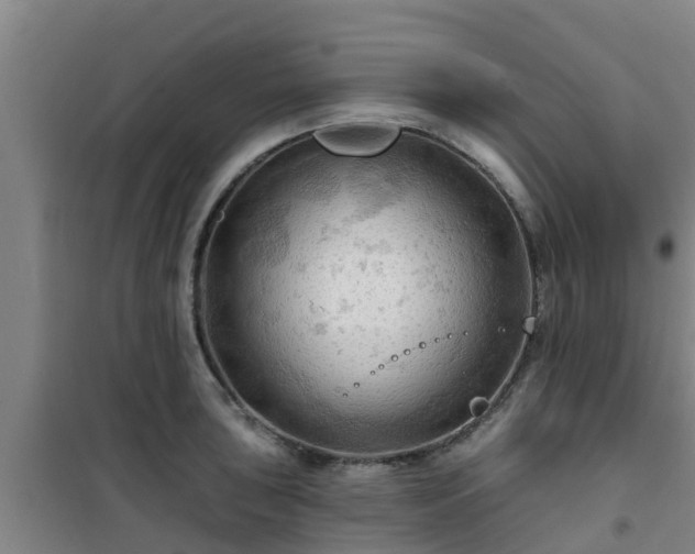 X0000101091043200807031721