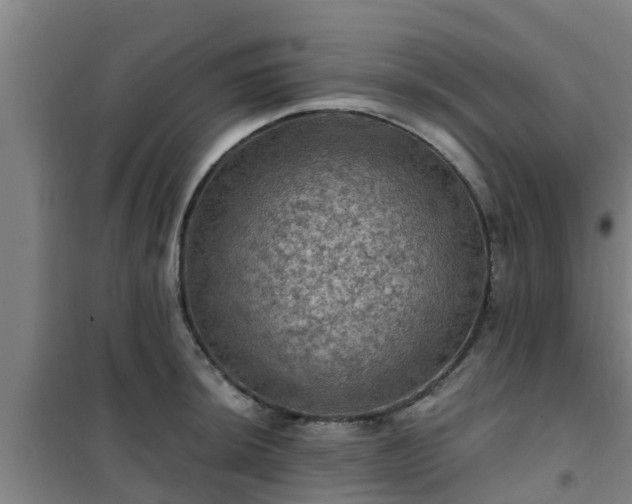 X0000101091044200807031721