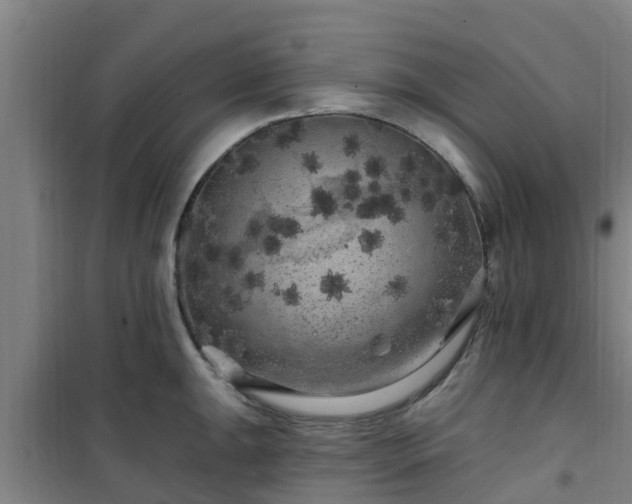 X0000101091047200807031721