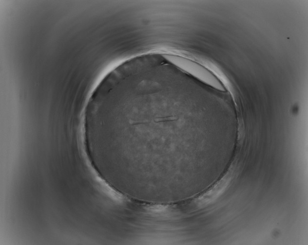 X0000101091048200807031721