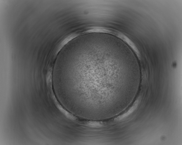 X0000101091049200807031722