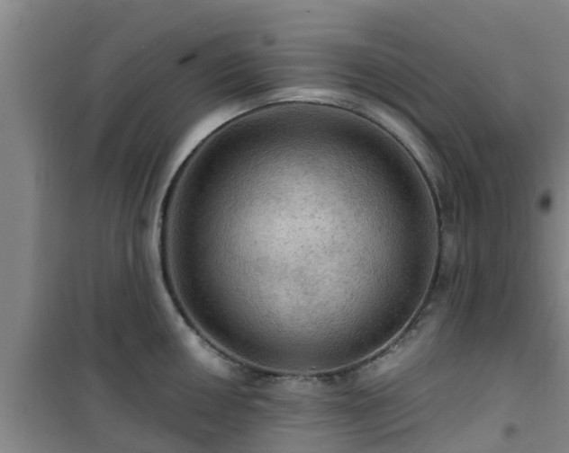 X0000101091050200807031722