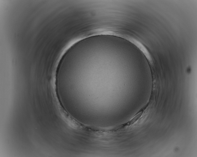 X0000101091051200807031722