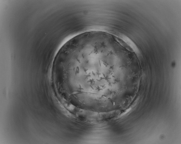 X0000101091052200807031722