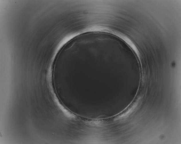 X0000101091053200807031722