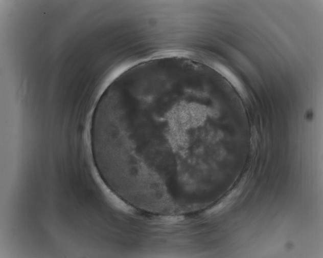 X0000101091055200807031722