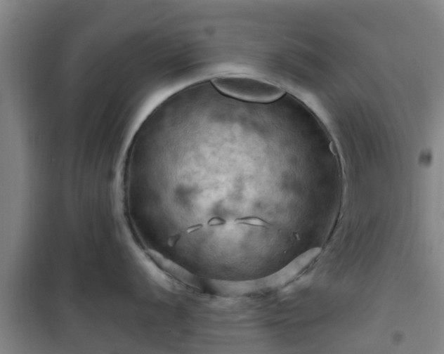 X0000101091056200807031722