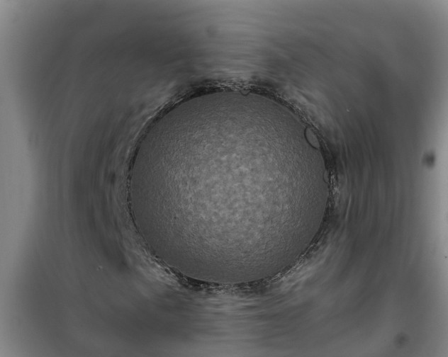 X0000101091057200807031721