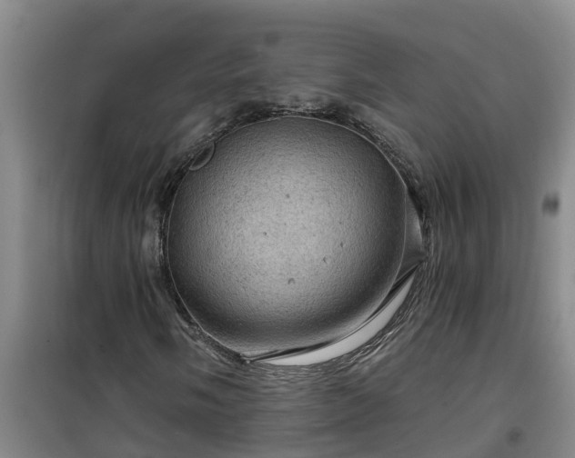 X0000101091058200807031721