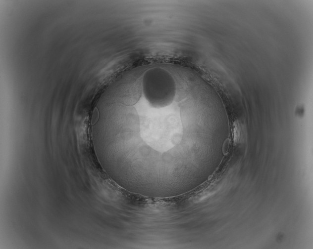 X0000101091059200807031721