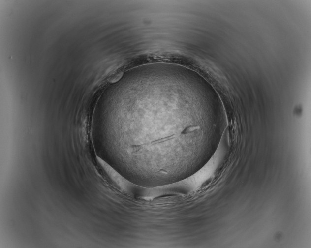 X0000101091060200807031721