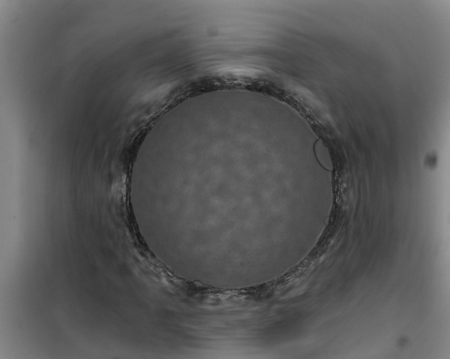 X0000101091061200807031721