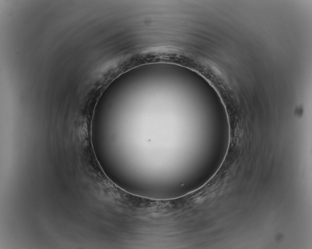 X0000101091062200807031721