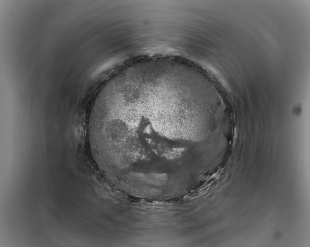 X0000101091063200807031721