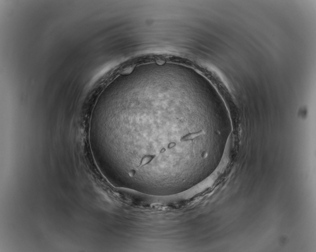 X0000101091064200807031721