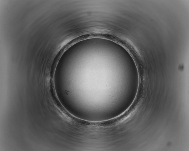 X0000101091065200807031721