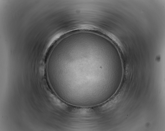 X0000101091067200807031721