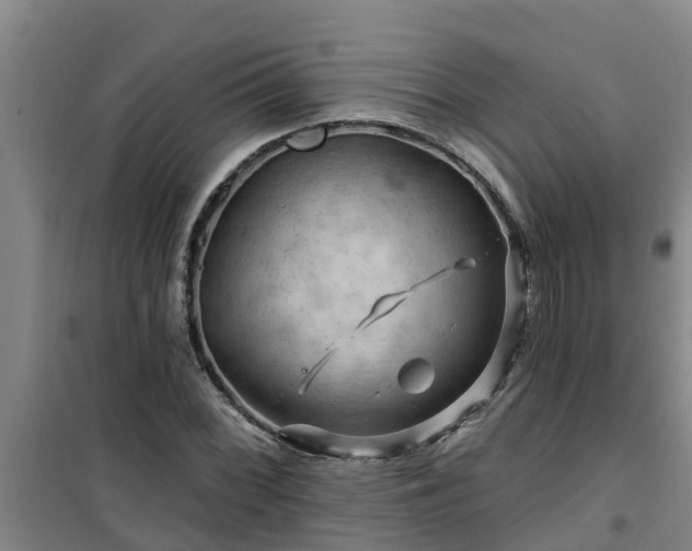 X0000101091068200807031721